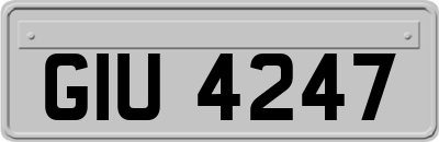 GIU4247