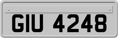 GIU4248