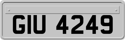 GIU4249