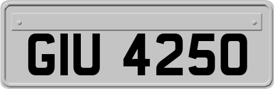GIU4250