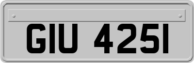 GIU4251