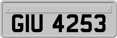 GIU4253