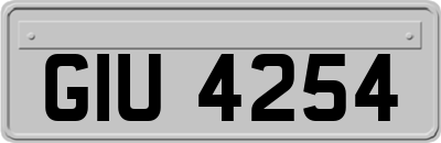 GIU4254