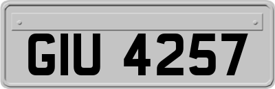 GIU4257