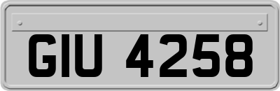 GIU4258
