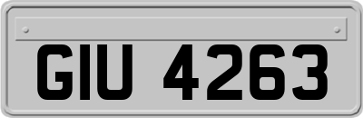 GIU4263