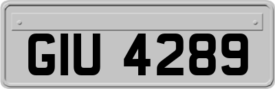 GIU4289