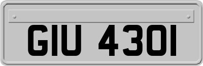 GIU4301
