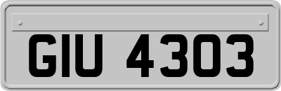GIU4303