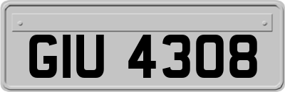 GIU4308