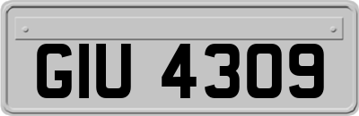 GIU4309