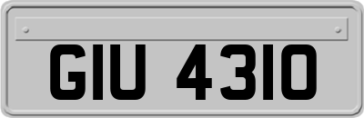 GIU4310