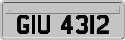 GIU4312