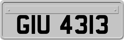 GIU4313