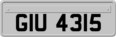 GIU4315