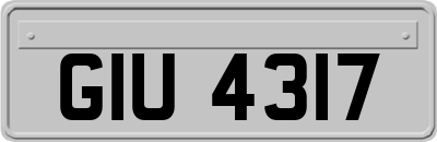 GIU4317