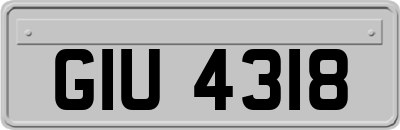 GIU4318