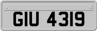 GIU4319