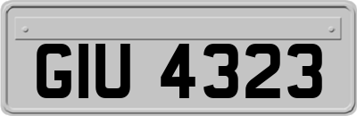 GIU4323
