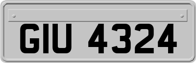 GIU4324