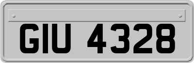 GIU4328