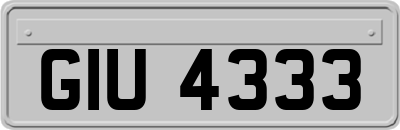 GIU4333