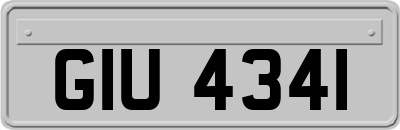 GIU4341