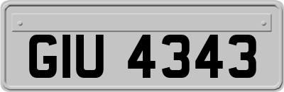 GIU4343