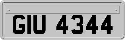 GIU4344