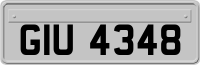 GIU4348