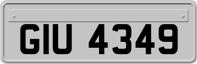 GIU4349