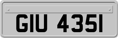 GIU4351