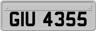 GIU4355