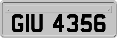 GIU4356