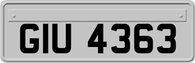 GIU4363