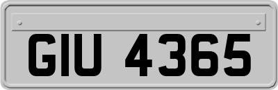 GIU4365
