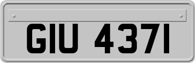 GIU4371