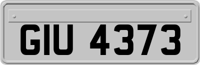 GIU4373