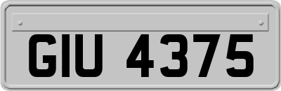 GIU4375