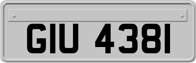 GIU4381