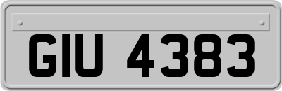 GIU4383
