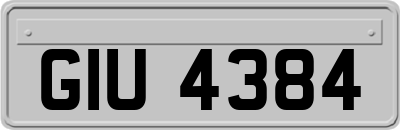 GIU4384