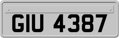 GIU4387