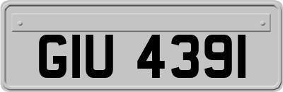 GIU4391