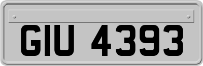 GIU4393