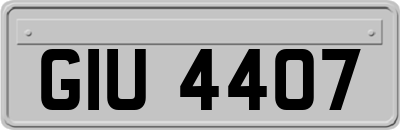 GIU4407