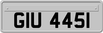 GIU4451