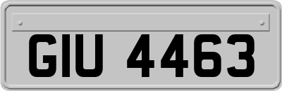 GIU4463