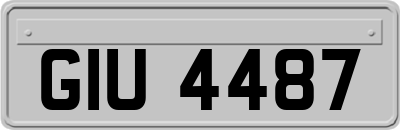 GIU4487