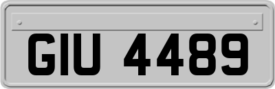 GIU4489